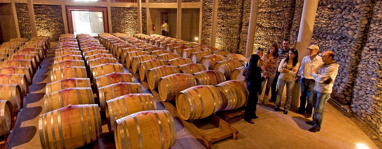 While in Chile you should enjoy some tours in one the best winemaking countries in the world